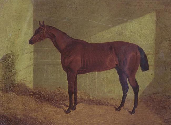 John Frederick Herring Margrave Winner of the st Leger oil painting image